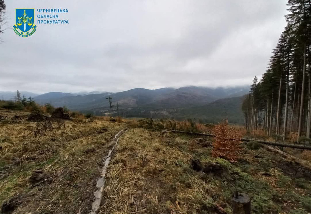 -
Судитимуть майстра лісу з Берегомета, у якого на підвідомчій території нарубали лісу більш як на 1,8 млн грн
