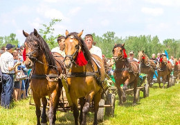 4 липня в Стрілецькому Куті відбудеться фест “Коні мої, коні” із призовим фондом 100 тисяч гривень