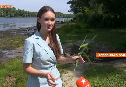США визнали генієм українську школярку: проект з очищення річок здобув бронзу на Олімпіаді геніїв