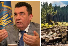 "Галузь кумівства": РНБО планує зайнятися питанням вирубки українських лісів