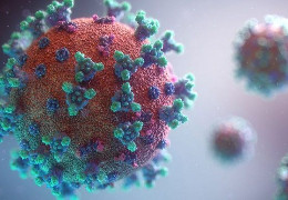 Скільки разів можна захворіти на коронавірус, розповіли експерти
