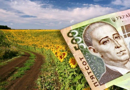 Завдяки спрощеній процедурі, на Буковині пришвидшилась нормативна грошова оцінка земель