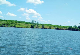 Прокуратура позивається до приватного підприємця з Веренчанки за незаконне використання земель водного фонду