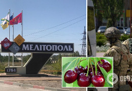 Фермери-"партизани" у Мелітополі передали окупантам отруєну черешню
