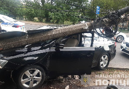У Чернівцях жінка-водій, авто якої стукнув «Renault Logan», виїхала на смугу зустрічного руху та "врізалася" в електроопору