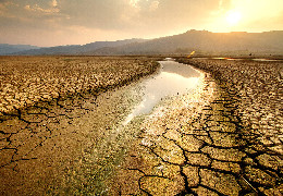Світ пересихає. Як посуха підриває економіки США, Європи та Китаю. Огляд статті The Wall Street Journal