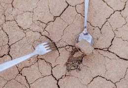 Карта дефіциту: чим загрожує світу найсерйозніша за 500 років посуха