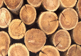 На Буковині аферисти під приводом продажу дров виманюють у людей передоплату за товар і зникають