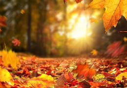 Через теплу осінь опалювальний сезон в Чернівцях планують розпочати пізніше