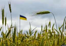 Румунія не запровадила заборону на імпорт українського зерна: натомість посилить контроль на прикордонних КПП