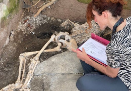 Археологи виявили сенсаційну знахідку під час розкопок у Помпеях