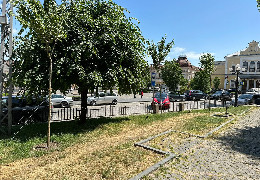 У Чернівцях відремонтували сквер Ференца Ліста біля площі Філармонії і висадили унікальні сакури Канзан