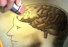 Надмірно високий рівень заліза в головному мозку погано позначається на роботі пам’яті - дослідження вчених