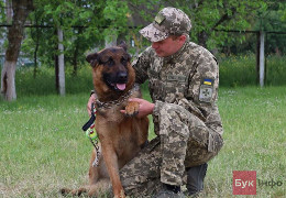 "Він не побратим мені, а як дитина": буковинський прикордонник повернув з окупації свого бойового пса