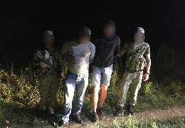 На українсько-румунському кордоні в Чернівецькій області "фотопастка" ловить втікачів від мобілізації