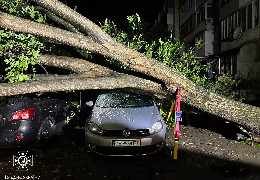 Наслідки негоди в Чернівцях: чотири підтоплені квартири, повалені дерева та пошкоджені авто