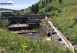 Полонини й водоспади: природний парк на Буковині показав локації для туристів