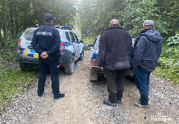 У багажнику авто - вбита козуля та мисливська зброя: на Буковині затримали браконьєрів
