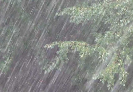 Штормове попередження на Буковині: прогнозують зливи, місцями з градом