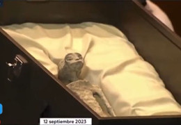 По три пальці і немає зубів: у парламенті Мексики показали тіла двох давніх інопланетян, яким по 1000 років
