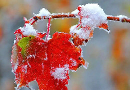 Снігопади та ожеледиця: яка погода чекає на Україну вже в жовтні