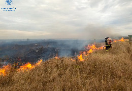 За вихідні на Буковині трапились 24 пожежі: вогонь знищив майже 7 гектарів сухої трави