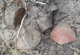 У лісі на Буковині виявили давнє поселення, протяжністю понад 250 метрів: розкопали землянку з глиняним посудом