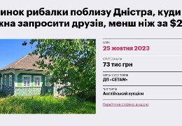 Поблизу Дністра в Чернівецькій області виставили на онлайн-аукціон будинок для риболовлі за 73 тис. грн