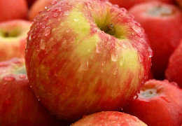 Їжте свіжі яблука - якраз сезон! Чим вони корисні