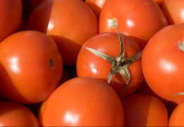 Ціни на помідори в Україні б’ють рекорди