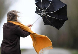 Посилення вітру: на Буковині оголосили штормове попередження