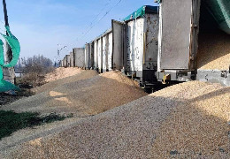 Стало відомо, що зроблять з розсипаною з вагонів українською кукурудзою у Польщі
