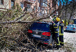 У Чернівцях рятувальники продовжують розпилювати повалені буревієм дерева