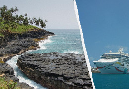 Нові Робінзони: круїзний лайнер забув вісьмох туристів на африканському острові