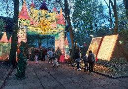 Парк у Чернівцях перетворили на світлову казку: проєкт "Таємниці ліхтарів" стартував у місті вперше