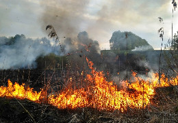 З початку року на Буковині зареєстровано 144 пожежі в екосистемах. Це майже наполовину більше, ніж у минулому році