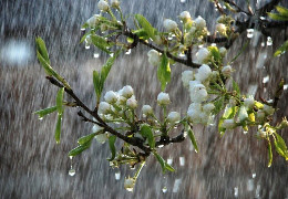 Зливи, грози та град: синоптик попередив про різке погіршення погоди з 15 квітня