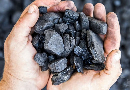 На Буковині судили працівника лікарні який вкрав 3,5 тонни вугілля. Чоловік розкаявся і його помилували...