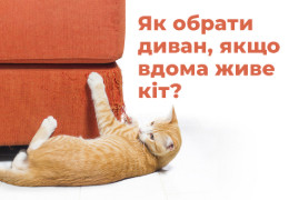 Як вибрати диван, якщо вдома є кіт?
