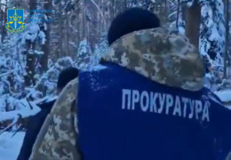 Судитимуть депутата-лісника з Буковини, який допустив незаконну рубку дерев на 1,5 млн гривень. Що відомо?