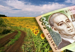 На Буковині колишній голова сільської ради підробив заповіт буковинки, у якому переписав чужу землю на свою жінку