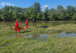 На річці Прут в районі села Молниця знайшли тіло мертвої жінки