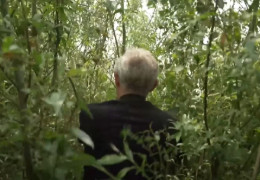 На дні Каховського водосховища вирує життя, а навколо - шестиметрові верби і тополі. Як нині виглядає Великий Луг?