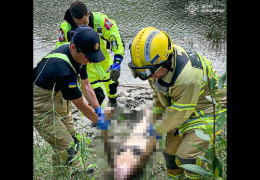 На міському пляжі у Чернівцях потонула 60-річна жінка. Ще двох вдалося врятувати