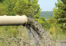 Можна підчепити страшні хвороби: Назвали всі підприємства, які на Буковині забруднюють річку Прут стічними водами