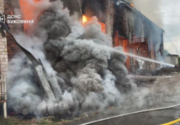У Чернівецькому районі згоріло деревообробне підприємство. Пожежу ліквідовували 35 пожежників та 11 одиниць техніки