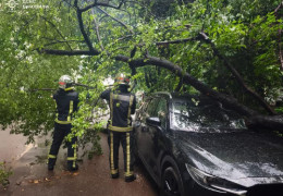 Наслідки негоди на Буковині: десятки повалених дерев, пошкоджені будівлі двох ліцеїв, побиті автомобілі та обірвані лінії електропередач