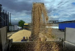 Фермери в шоці: Уряд дозволив вивозити сою та ріпак без мит, за що ще недавно штрафували на мільйонні суми