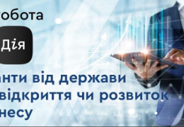 Із наступного року держава даватиме більші гранти на відкриття та розвиток бізнесу  – нардепка Олена Шуляк