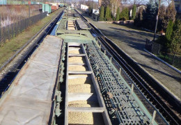 Крадуть безбожно: вчора затримали потяг з діловою деревиною до Румунії, сьогодні - потяг із незаконним експортом сої